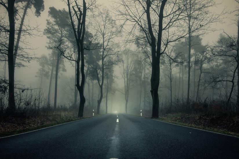 magla cesta